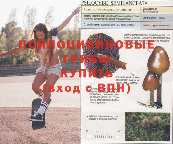 дживик Козловка