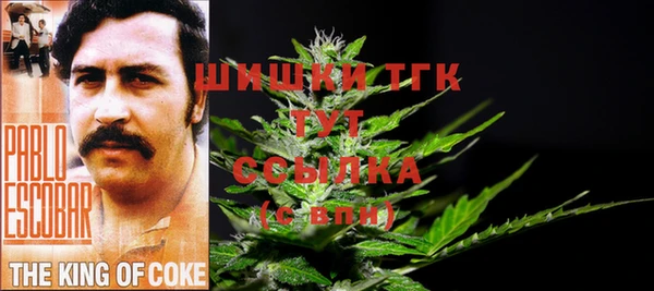 дживик Козловка