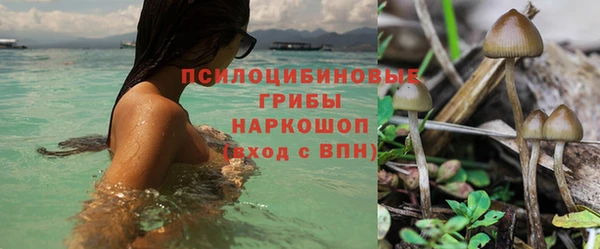 дживик Козловка
